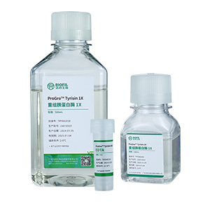 重组胰蛋白酶,重组胰酶,胰蛋白酶,胰酶