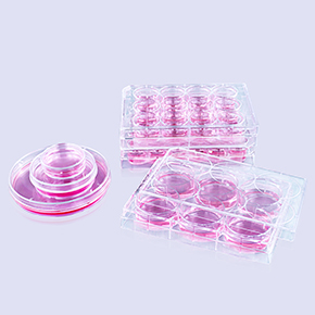 多聚-D-赖氨酸包被表面产品,多聚-D-赖氨酸包被,Coating,poly-D-lysine,PDL