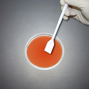 细胞铲刀,细胞铲,细胞刮刀和刮棒,Cell Lifters