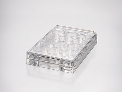 板底平整、孔径大小一致，板体均匀、透明，易于显微镜观察