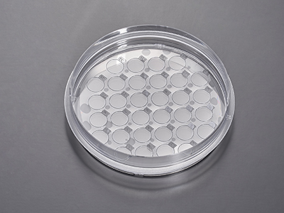 单次细胞培养可制备多种不同实验和检测目的的细胞爬片，提高工作效率