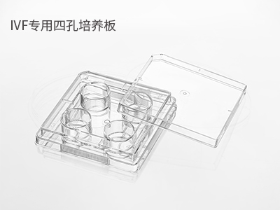 胚胎冷冻/解冻；胚胎体外培养