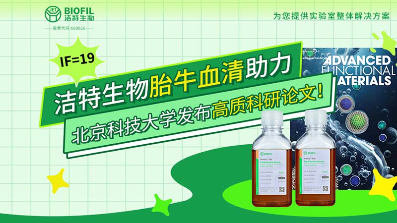 letou生物,胎牛血清,科研论文,细胞培养,生物试剂,国产培养基