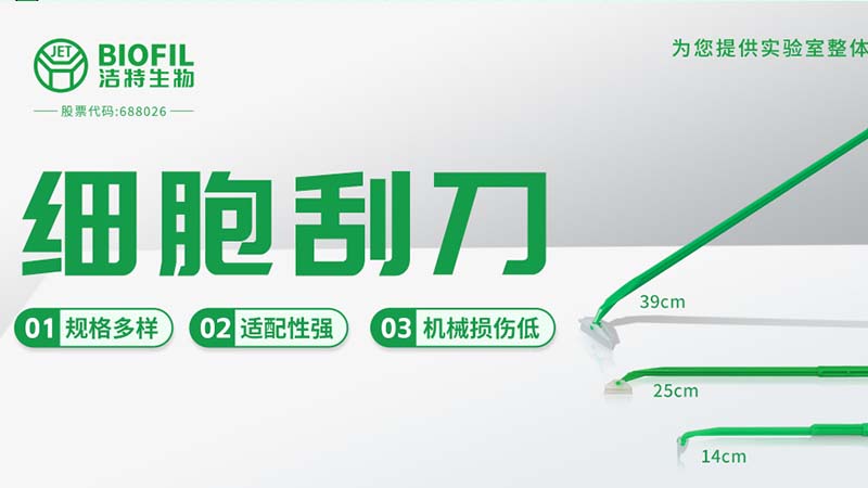 letou生物,细胞培养,生命科学,科研,生物实验室耗材